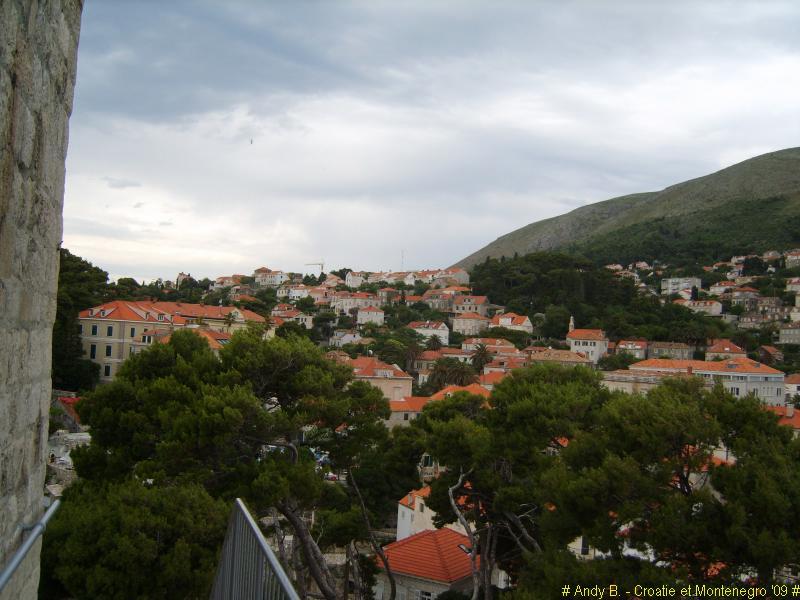 Dubrovnik ville (112).JPG